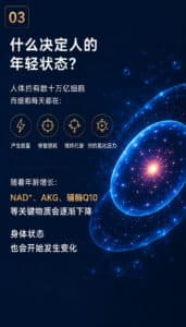 详情 3
